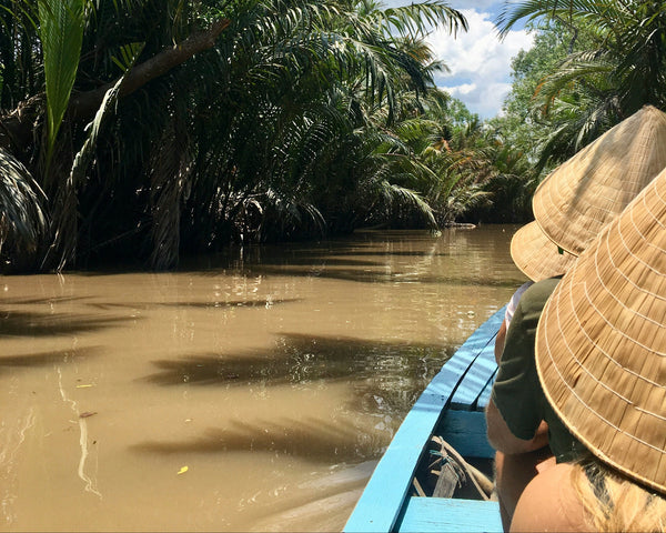 Day tour to Mekong delta