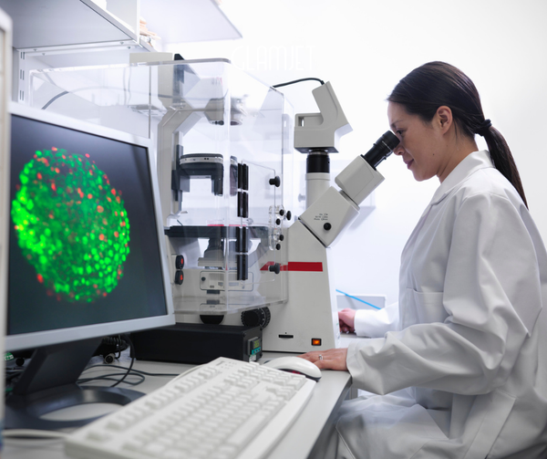 Stem Cells
